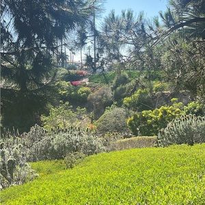 Meet your Posher, Ana